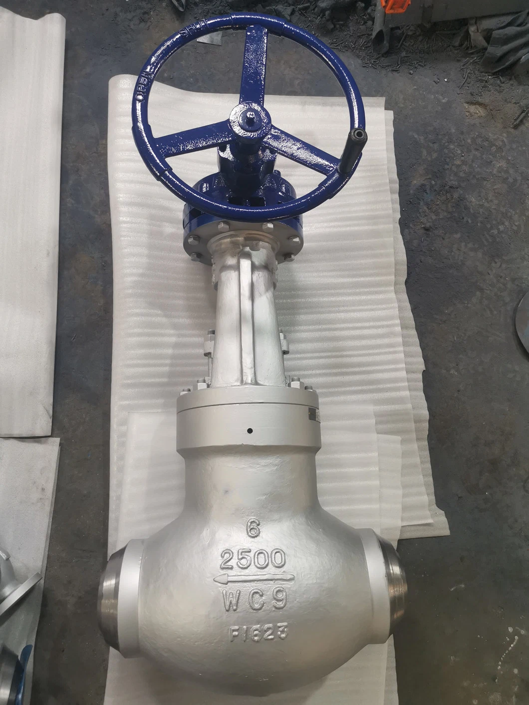 Cast Steel Globe Valve API DN 50 to DN 600 Manual Cast Iron Flanged Straight Globe Valve