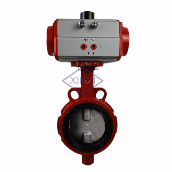 Ventilplatte aus Edelstahl 304, CF8-Wafer-Stil, DN100, Absperrklappe