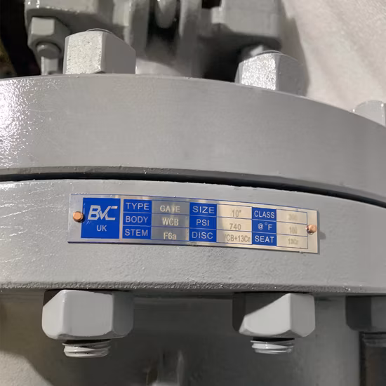 Steigender Schaft, Stahlguss, voller Durchgang, Doppelflansch, OS&Y-Keil, API 600-Absperrschieber (Herstellerpreis China)